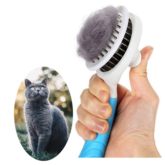 Pet Brush Comb – Removes Dog and Cat Hair for Grooming and Care