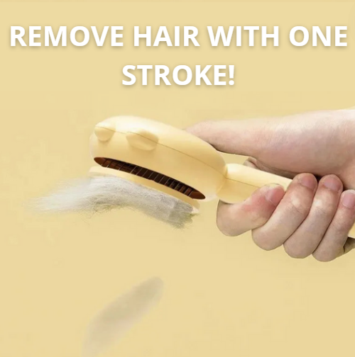 Pet Brush for Long and Short-Haired Animals