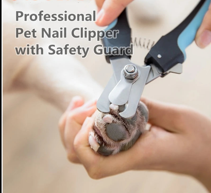 Professional Pet Nail Clipper – Stainless Steel Scissors for Claw Care