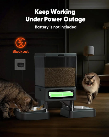 Automatic Cat Feeder for 2 Cats – 20 Cups/5L Capacity with Timed Feeding