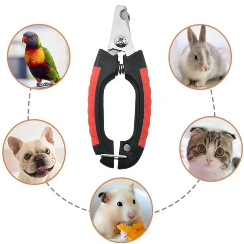 Professional Pet Nail Clipper – Steel Scissors for Claw Care