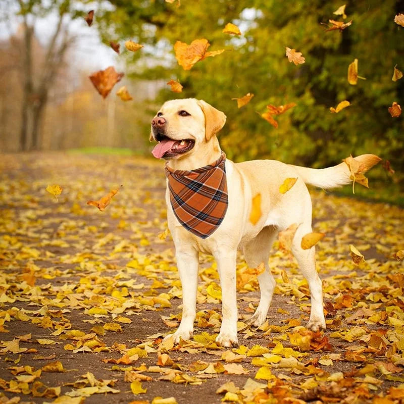 Dog Bandanas With Tassels Edges Stylish Dog Bandanas Plaid Pet Triangle Scarf Tassel Bandanas